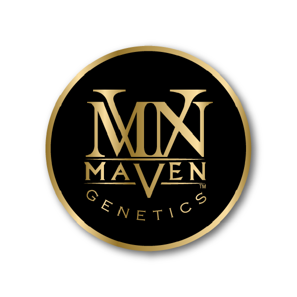 Maven Genetics logo